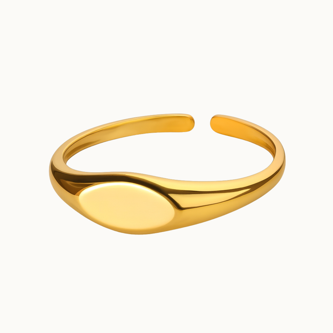 🎁 Positano Ring (100% off)